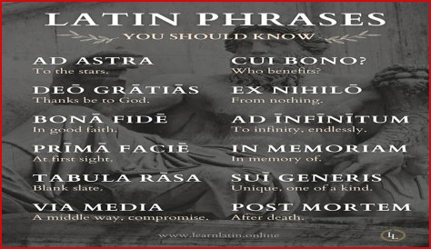 A Profile Of A Latin Beauty