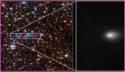 Ava Doyle: Unraveling The Mystery Behind Her Cause Of Death