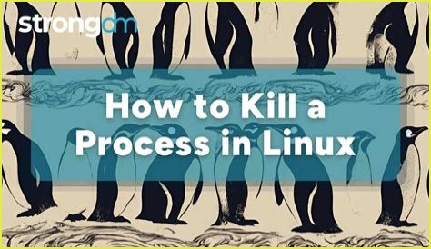 How do I trace a process in Linux?