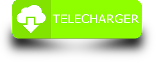 Télécharger The way out is in 16 notecards PDF